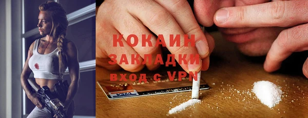 дмт Лагань