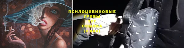 первитин Лабытнанги