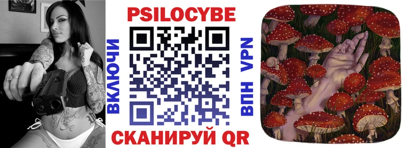где найти наркотики  Чебоксары  Псилоцибиновые грибы GOLDEN TEACHER 