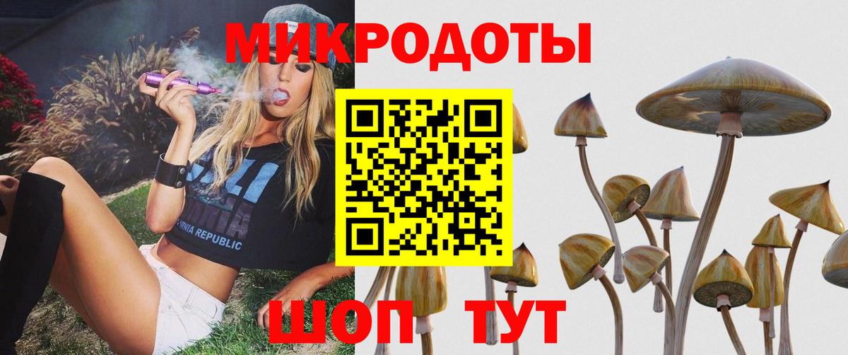 Псилоцибиновые грибы Psilocybe  Вход с VPN  Чебоксары 