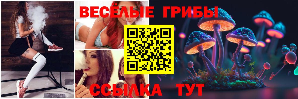 Галлюциногенные грибы MAGIC MUSHROOMS Чебоксары